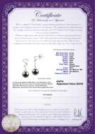 Certificato di prodotto: JAK-B-AAA-89-E-Tamara
