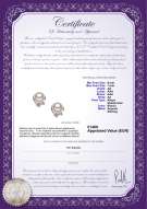  Certificato di prodotto: JAK-W-AA-67-E-Jodie