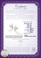  Certificato di prodotto: JAK-W-AA-67-E-Rosie