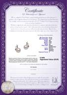  Certificato di prodotto: JAK-W-AA-67-E-Sydney