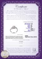 Certificato di prodotto: JAK-W-AA-67-R-Tanya