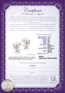 product certificate: JAK-W-AA-78-E-Gilda