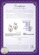  Certificato di prodotto: JAK-W-AA-78-E-Marsha