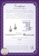product certificate: JAK-W-AA-78-E-Valery