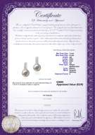  Certificato di prodotto: JAK-W-AA-78-E-Valery