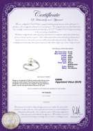 Certificato di prodotto: JAK-W-AAA-67-R-Daron