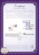 product certificate: P-67-E-OLAV