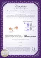 Certificato di prodotto: P-78-E