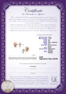Certificato di prodotto: P-AA-67-E