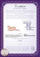 Certificato di prodotto: P-AA-67-N-DBL