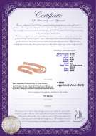 Certificato di prodotto: P-AA-67-N-TRP