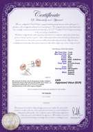  Certificato di prodotto: P-AA-78-E