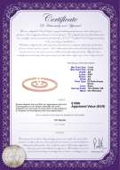 Certificato di prodotto: P-AA-78-S