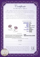 product certificate: P-AA-910-E-SS-OLAV