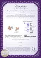 Certificato di prodotto: P-AA-910-E-SS