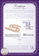 Certificato di prodotto: P-AAA-67-N-DBL
