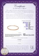 Certificato di prodotto: P-AAA-67-N