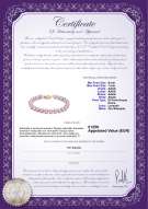 product certificate: P-AAAA-67-B-OLAV