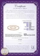 product certificate: P-AAAA-67-S