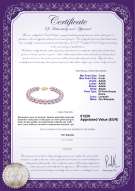  Certificato di prodotto: P-AAAA-758-B-OLAV