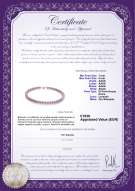 Certificato di prodotto: P-AAAA-758-N-Olav