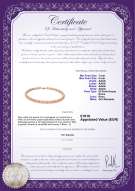 Certificato di prodotto: P-AAAA-758-N