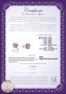 product certificate: P-AAAA-910-E-OLAV