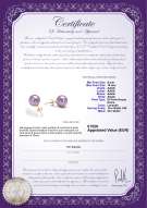  Certificato di prodotto: P-AAAA-910-E-OLAV