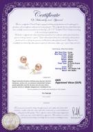 product certificate: P-AAAA-910-E
