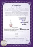 Certificato di prodotto: P-Fresh-Pend-S-910-Enhancer
