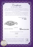 Certificato di prodotto: SS-Fishhook-Clasp