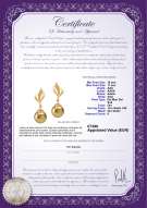  Certificato di prodotto: SS-G-AAA-1011-E-Damica