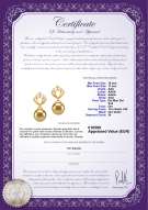 Certificato di prodotto: SS-G-AAA-1011-E-Helena