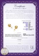 Certificato di prodotto: SS-G-AAA-1011-E