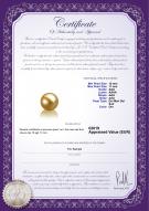 product certificate: SS-G-AAA-1011-L1