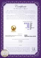 Certificato di prodotto: SS-G-AAA-1011-L1