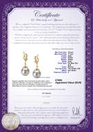  Certificato di prodotto: SS-W-AAA-1011-E-Bianka
