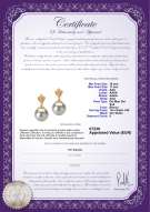 Certificato di prodotto: SS-W-AAA-1011-E-Ivana