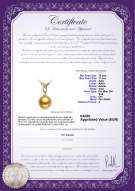 Certificato di prodotto: SSEA-G-AAA-1011-P-Monica