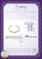 Certificato di prodotto: SSEA-G-N-C302