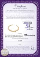 Certificato di prodotto: SSEA-G-N-C304