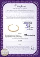  Certificato di prodotto: SSEA-G-N-C309