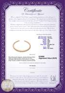 Certificato di prodotto: SSEA-G-N-C310