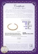  Certificato di prodotto: SSEA-G-N-C312