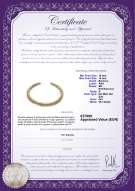 Certificato di prodotto: SSEA-G-N-C315