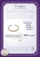 Certificato di prodotto: SSEA-G-N-C317