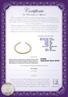  Certificato di prodotto: SSEA-G-N-C318