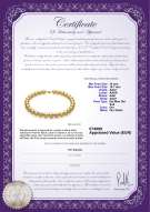 Certificato di prodotto: SSEA-G-N-Q215