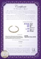 Certificato di prodotto: SSEA-MULTI-N-C321