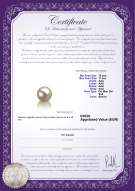 Certificato di prodotto: SSEA-W-AAA-1011-L1